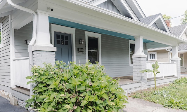 1010 Aurora Ave, Lexington, KY 40502 - property entrance featuring a porch, board and batten siding, and a shingled roof