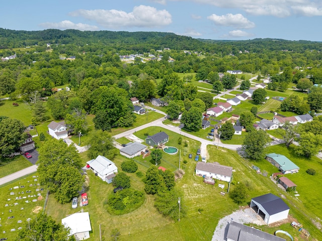 550 S Lucas St, Junction City, KY 40440 - aerial view of a forest