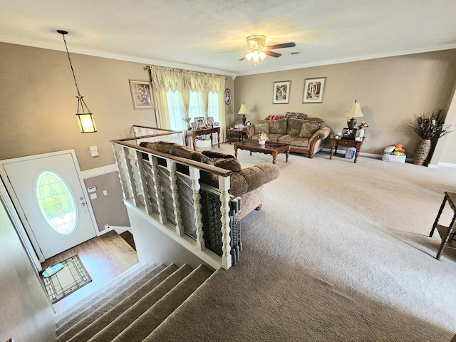 87 Park Estates Ln, London, KY 40744 - living room with ornamental molding, ceiling fan, and baseboards