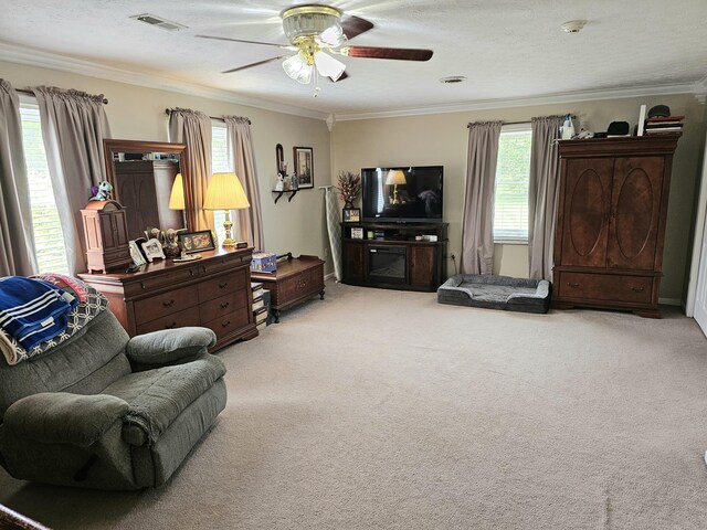 87 Park Estates Ln, London, KY 40744 - living room featuring a ceiling fan, carpet flooring, and ornamental molding