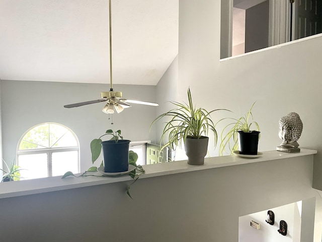 812 Statesman Way, Lexington, KY 40505 - detailed view of ceiling fan