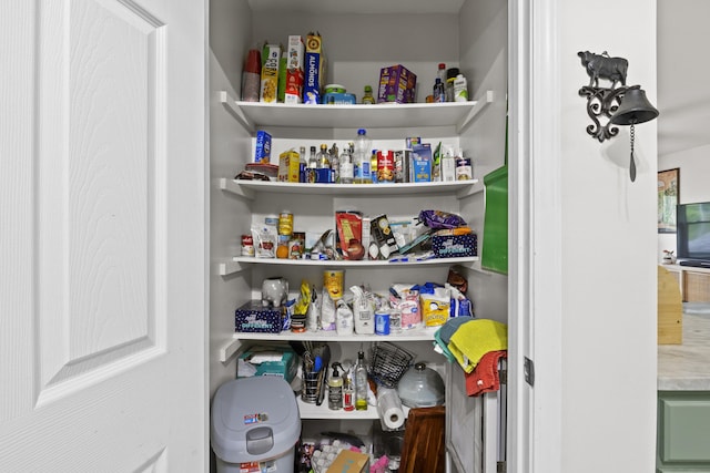 3488 Elmendorf Way, Lexington, KY 40517 - view of pantry