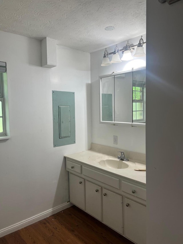 104 Arvin Dr, Lancaster, KY 40444 - bathroom featuring electric panel, wood finished floors, vanity, baseboards, and a textured ceiling