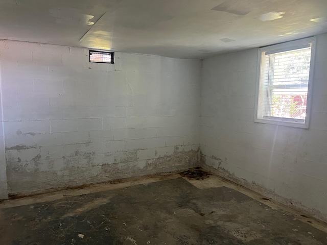 104 Arvin Dr, Lancaster, KY 40444 - basement featuring concrete block wall