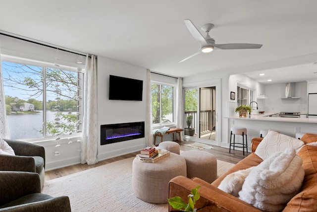 543 Laketower Dr Unit 140, Lexington, KY 40502 - living area with light wood finished floors, a ceiling fan, and a glass covered fireplace