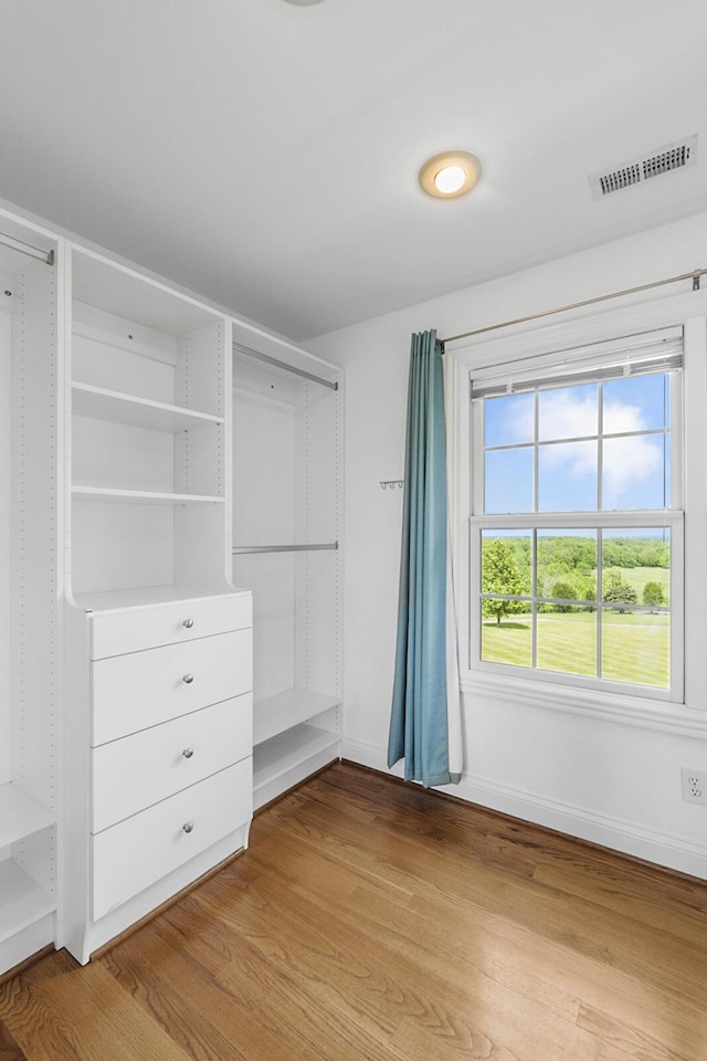 4301 Ravens Crest Ln, Lexington, KY 40515 - spacious closet with light wood-style flooring