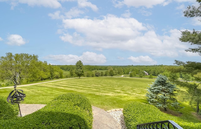 4301 Ravens Crest Ln, Lexington, KY 40515 - view of community with a yard