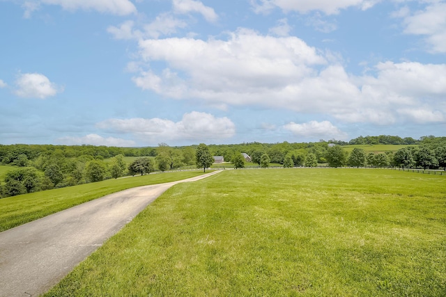 4301 Ravens Crest Ln, Lexington, KY 40515 - view of road featuring a view of countryside