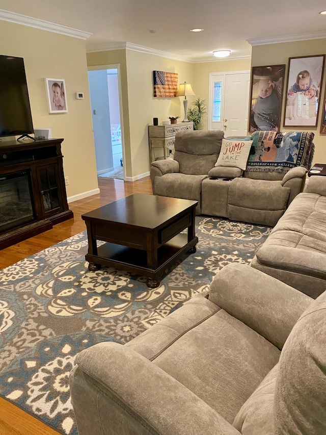 319 Huckleberry Ln, London, KY 40744 - living room featuring wood finished floors, ornamental molding, baseboards, and a glass covered fireplace