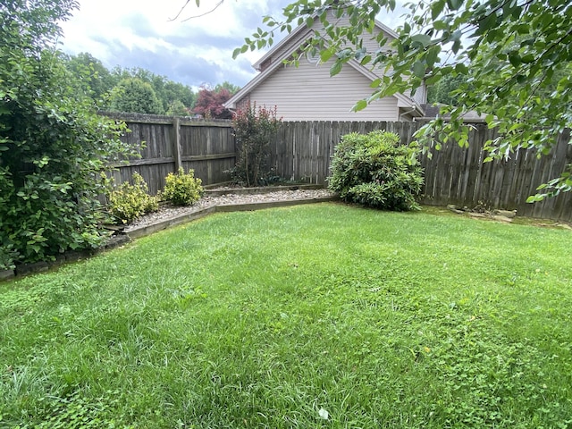 319 Huckleberry Ln, London, KY 40744 - view of yard