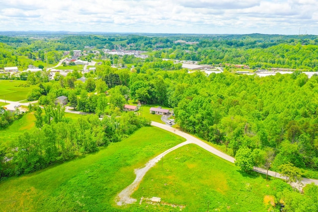 bird's eye view of a heavily wooded area