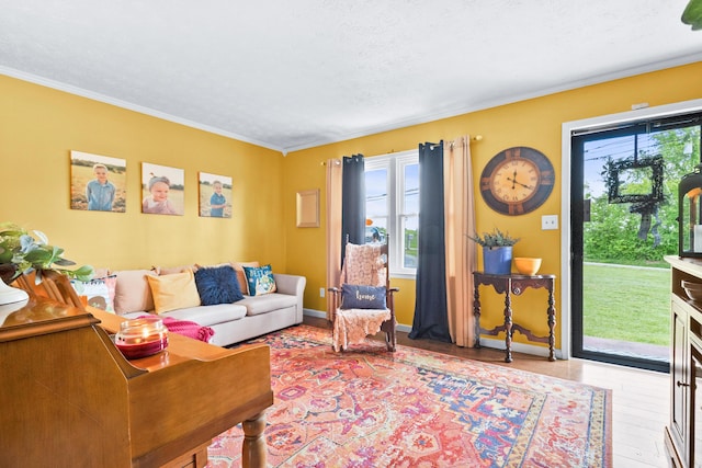 living area with ornamental molding, baseboards, and a textured ceiling