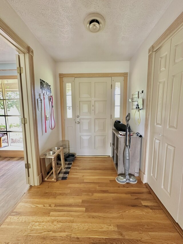 3125 Old Bull Rd, Eubank, KY 42567 - entryway with a textured ceiling, light wood-style flooring, and plenty of natural light