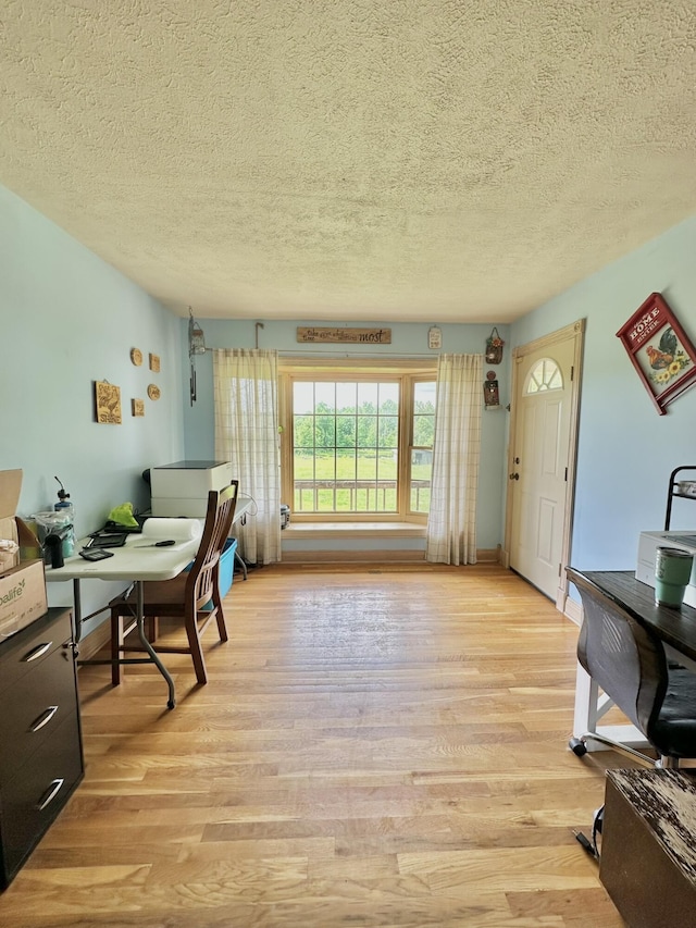3125 Old Bull Rd, Eubank, KY 42567 - office with a textured ceiling and light wood-style floors