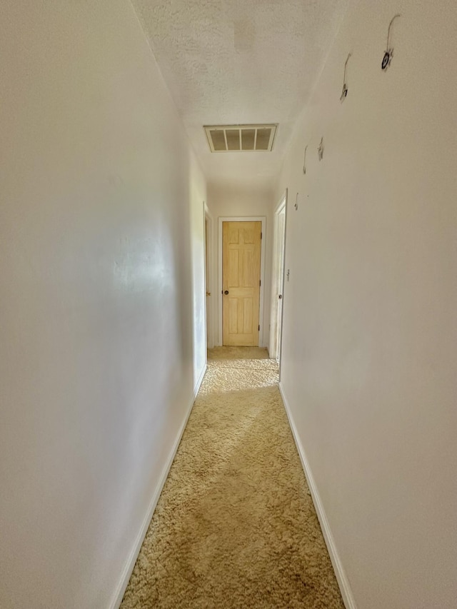3125 Old Bull Rd, Eubank, KY 42567 - hall featuring light carpet, baseboards, and a textured ceiling