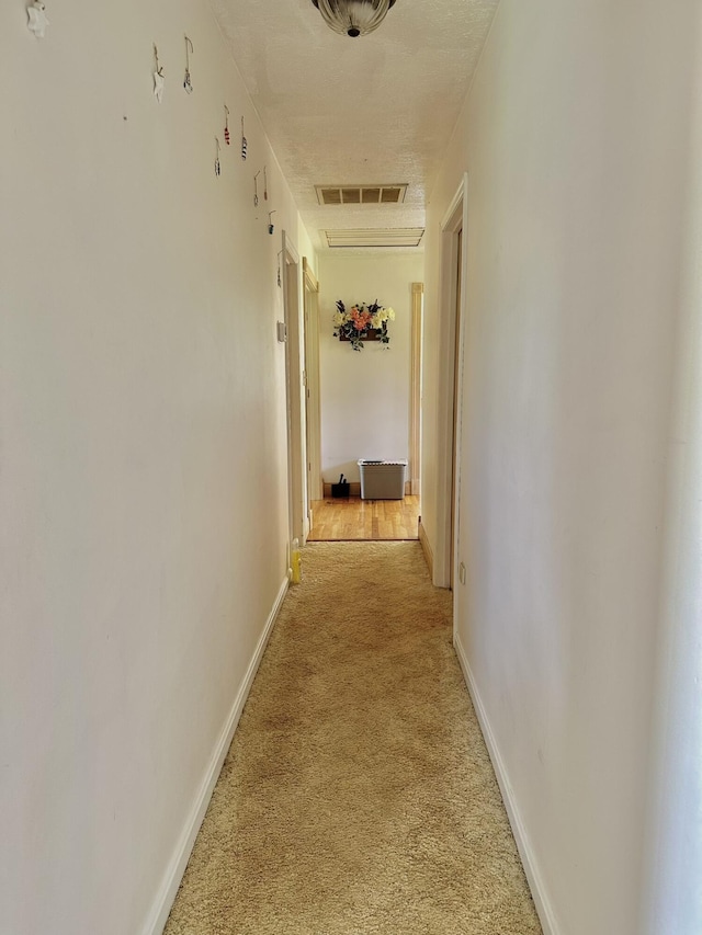 3125 Old Bull Rd, Eubank, KY 42567 - hall featuring light carpet and baseboards