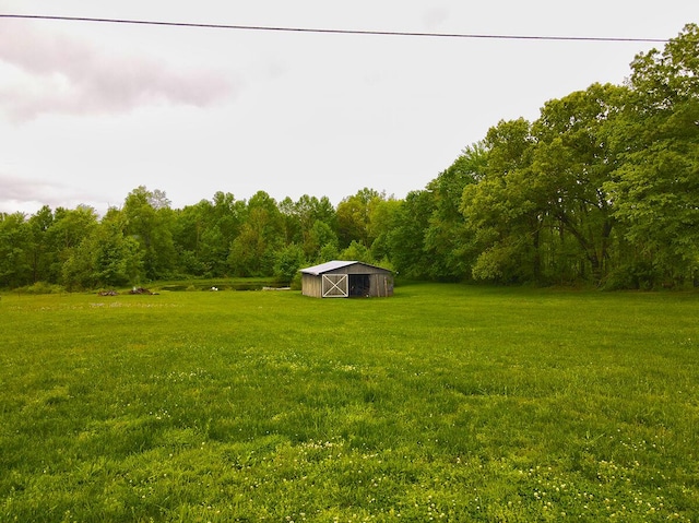 3125 Old Bull Rd, Eubank, KY 42567 - view of green lawn featuring a view of trees, a pole building, and an outdoor structure