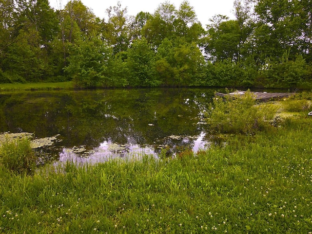 3125 Old Bull Rd, Eubank, KY 42567 - water view