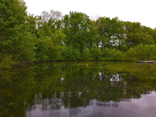 3125 Old Bull Rd, Eubank, KY 42567 - water view