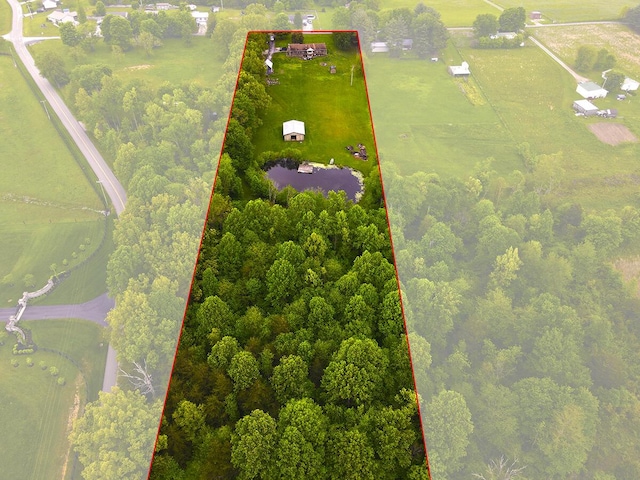 3125 Old Bull Rd, Eubank, KY 42567 - aerial view of sparsely populated area with property boundaries highlighted