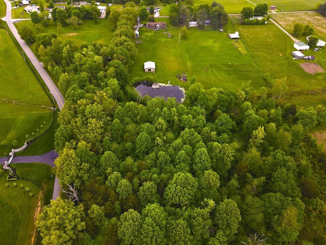 3125 Old Bull Rd, Eubank, KY 42567 - bird's eye view