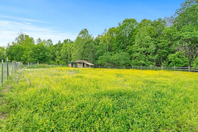 10708 Battlefield Memorial Hwy, Berea, KY 40403 - view of yard with a rural view and a wooded view