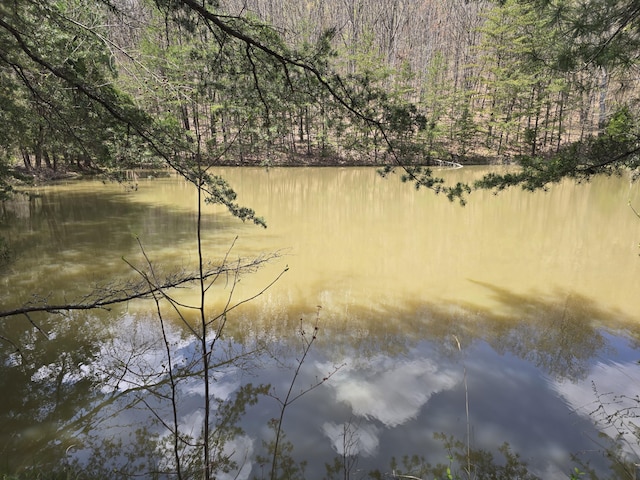 10708 Battlefield Memorial Hwy, Berea, KY 40403 - water view featuring a forest