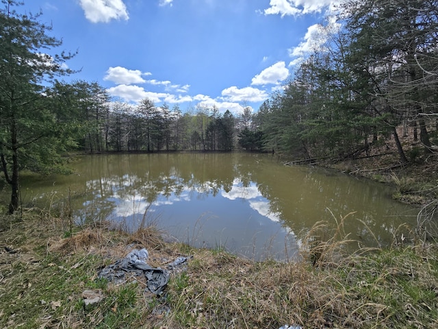 10708 Battlefield Memorial Hwy, Berea, KY 40403 - water view with a forest