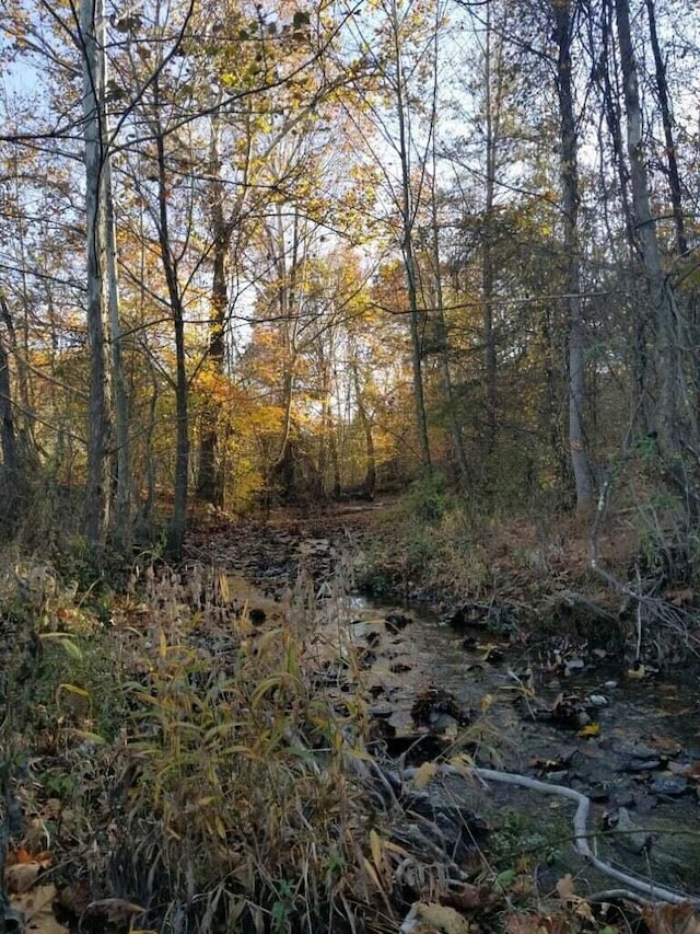 10708 Battlefield Memorial Hwy, Berea, KY 40403 - view of undeveloped land