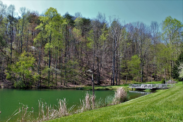 1610 Steele Branch Rd, West Liberty, KY 41472 - water view with a heavily wooded area