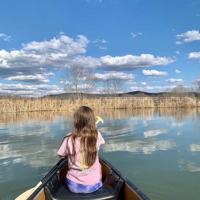 1610 Steele Branch Rd, West Liberty, KY 41472 - dock with a water view