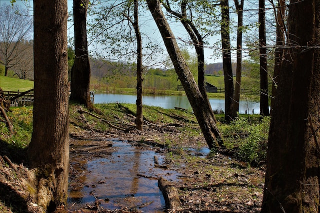 1610 Steele Branch Rd, West Liberty, KY 41472 - water view