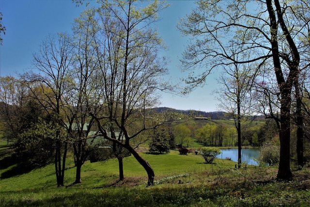 1610 Steele Branch Rd, West Liberty, KY 41472 - water view