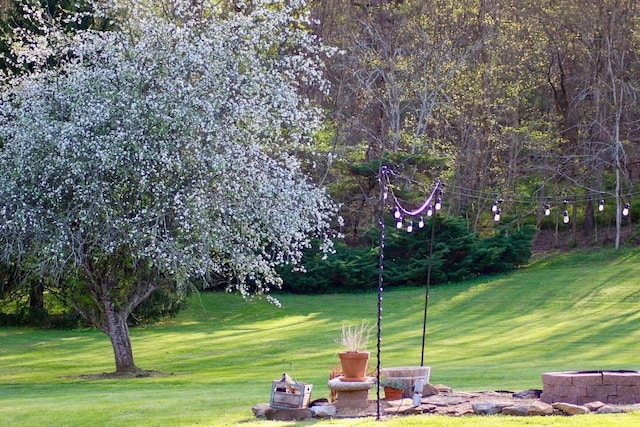 1610 Steele Branch Rd, West Liberty, KY 41472 - view of property's community featuring a yard