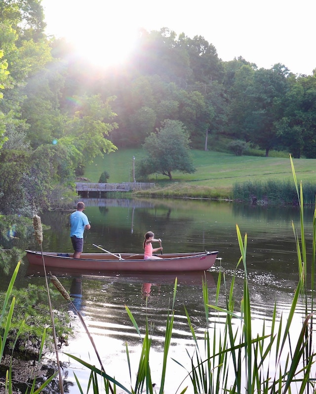 1610 Steele Branch Rd, West Liberty, KY 41472 - dock with a water view