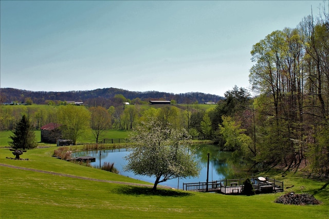 1610 Steele Branch Rd, West Liberty, KY 41472 - water view