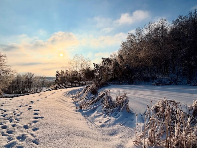 1610 Steele Branch Rd, West Liberty, KY 41472 - view of street