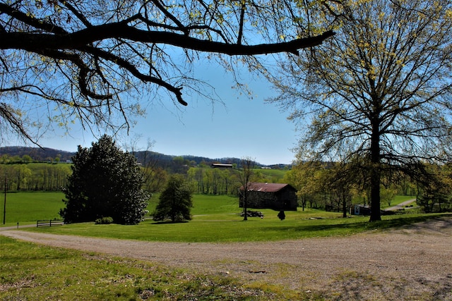 1610 Steele Branch Rd, West Liberty, KY 41472 - view of home's community with a yard and a view of rural / pastoral area