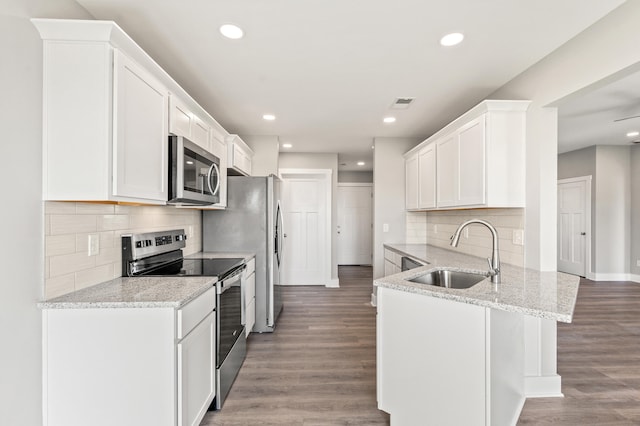 469 Wyldwood Way, Berea, KY 40403 - kitchen featuring stainless steel appliances, a sink, a peninsula, tasteful backsplash, and recessed lighting