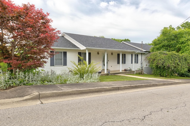 202 Strother St, Mt Sterling, KY 40353 - single story home featuring roof with shingles