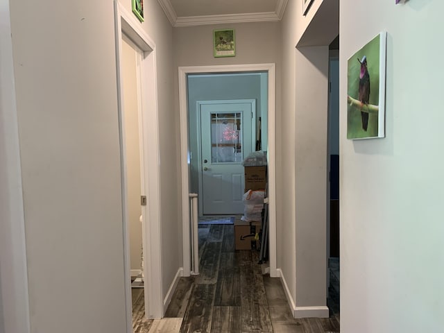 1306 Johnson Rd, Harrodsburg, KY 40330 - hallway with wood finished floors, ornamental molding, and baseboards