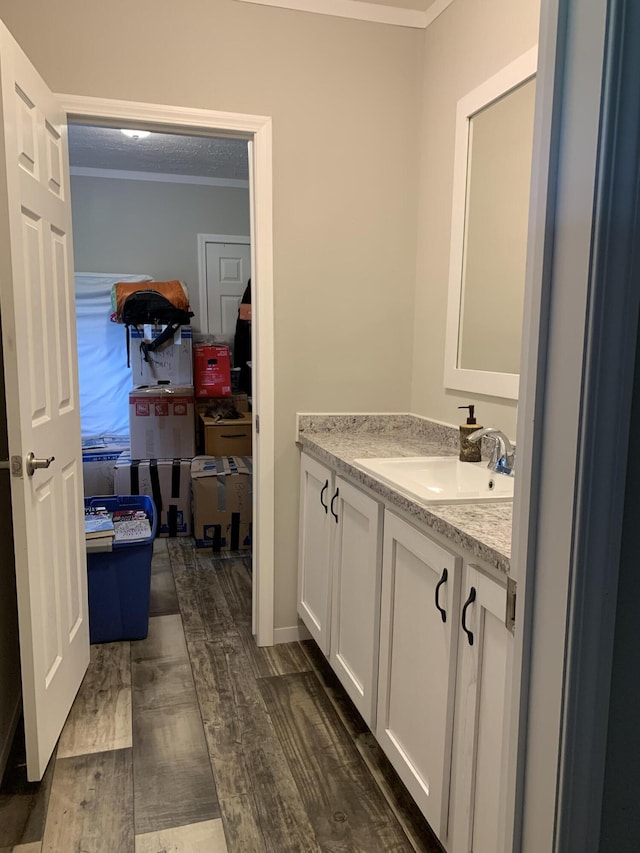 1306 Johnson Rd, Harrodsburg, KY 40330 - bathroom featuring ornamental molding, vanity, and wood finished floors