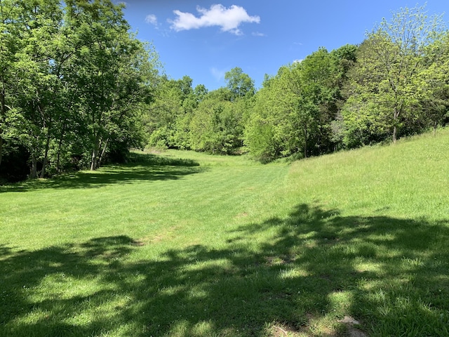 1306 Johnson Rd, Harrodsburg, KY 40330 - view of green lawn with a wooded view