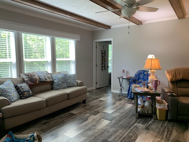 1306 Johnson Rd, Harrodsburg, KY 40330 - living room featuring beamed ceiling, ceiling fan, wood finished floors, baseboards, and ornamental molding