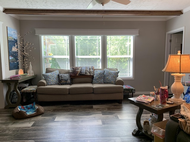 1306 Johnson Rd, Harrodsburg, KY 40330 - living area with ornamental molding, healthy amount of natural light, wood finished floors, and ceiling fan