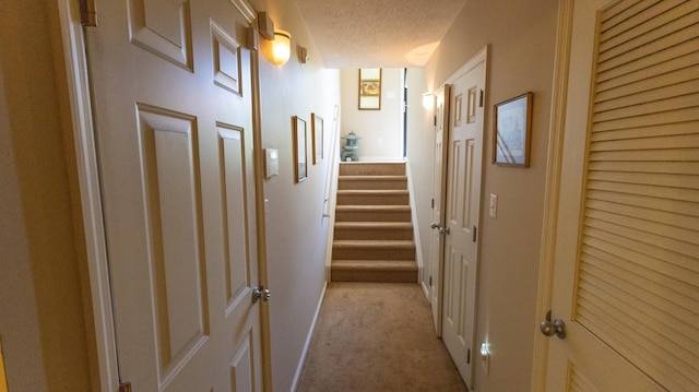 3659 Leisure Creek Ct, Lexington, KY 40517 - hall with carpet flooring, a textured ceiling, stairs, and baseboards