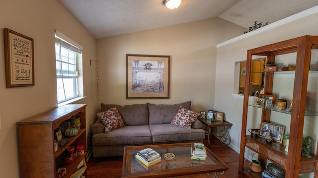 3659 Leisure Creek Ct, Lexington, KY 40517 - living room with vaulted ceiling, wood finished floors, and baseboards