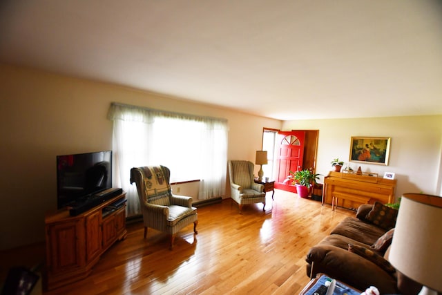 755 Mckee Rd, Irvine, KY 40336 - living room with light wood-type flooring