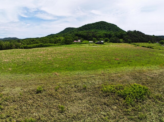 755 Mckee Rd, Irvine, KY 40336 - mountain view with rural landscape and a forest