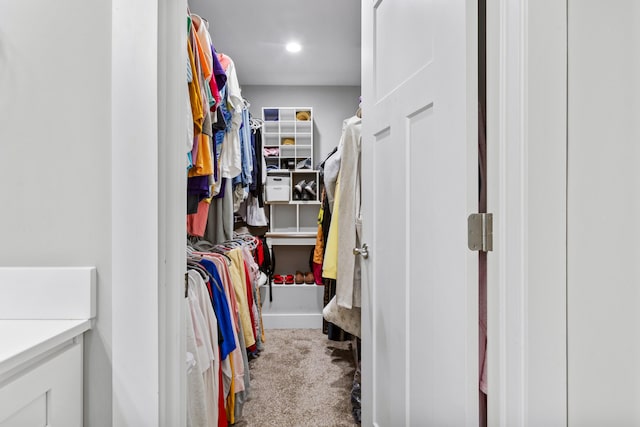 281 Meridian Way, Richmond, KY 40475 - spacious closet with carpet flooring